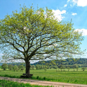 いわき市アイナル不動産